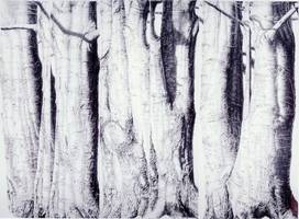 Annette Standl, Buchen/Wald, Bleistift/Schwarzkreide a. gespachteltem Holz, ca 225x300cm