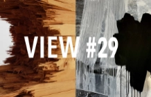View #29 am-bivalent